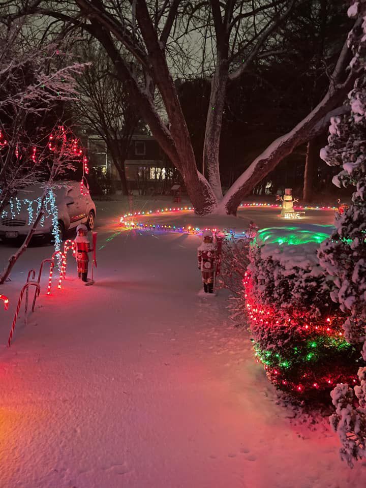 Christmas lights under the snow Tuesday night